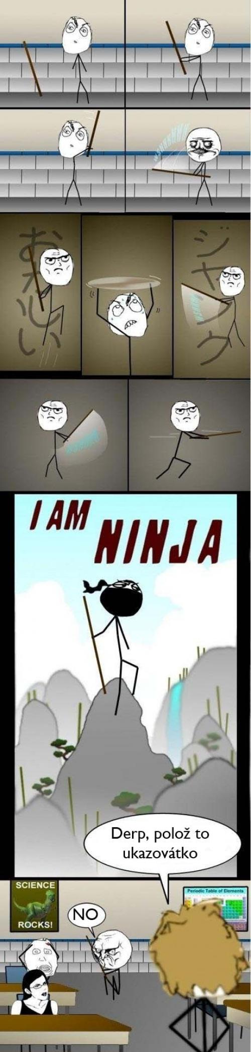  Ninja 
