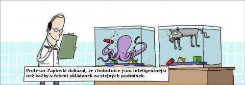  Chobotnice 