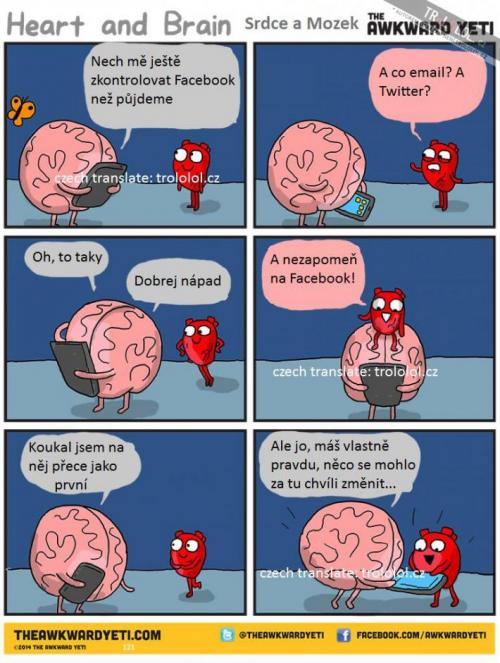 Srdce, Mozek a FB
