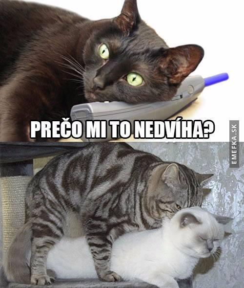  Proč mi to nezvedá 