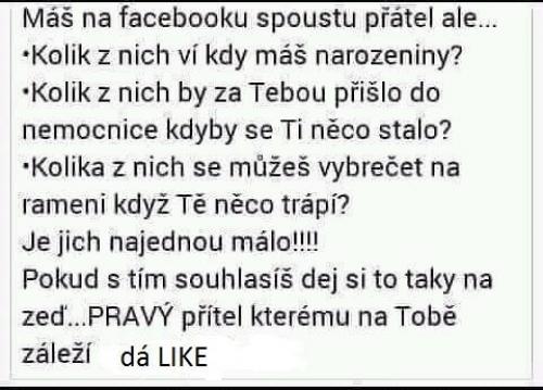  Přátelé na FB 