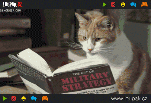  I kočky umí číst   