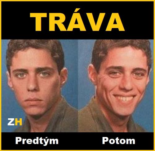  Tráva 