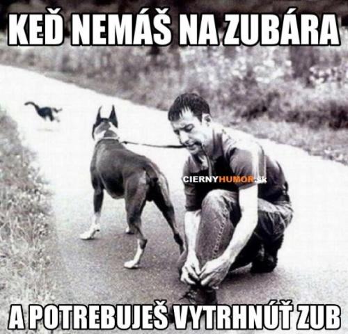  Když nemáš na zubaře 