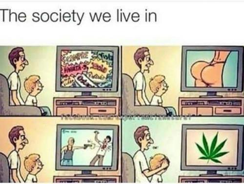  Our society 