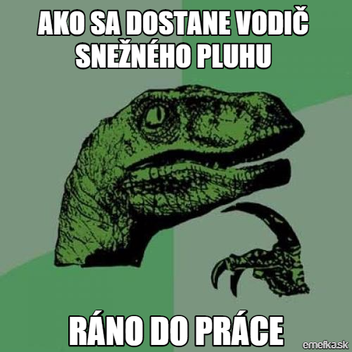 Řidič