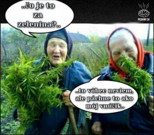 Babičky objevily novou zeleninu