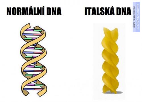  DNA běžných lidí a Italů 