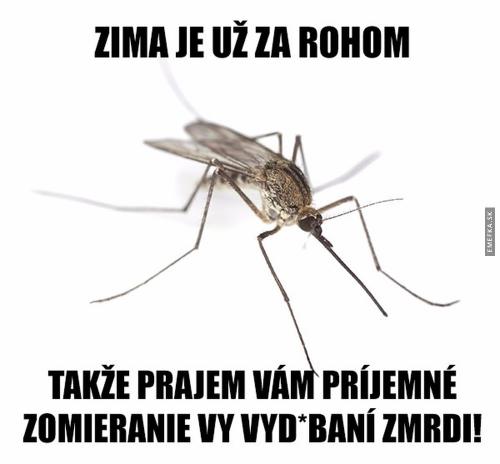  Zima je za rohem 