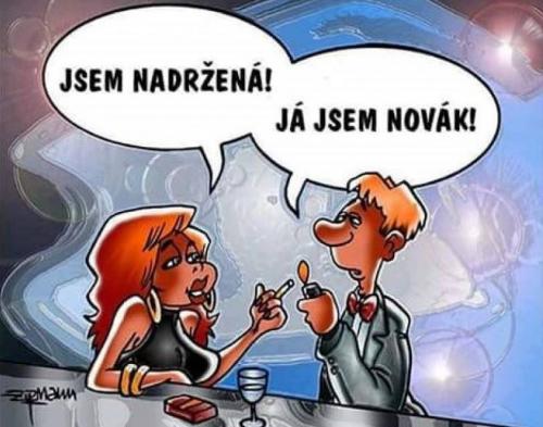 Novák7