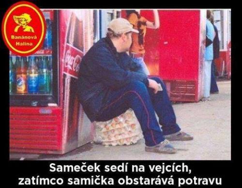 Sameček na vejcích