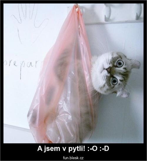  Jsem v pytli 