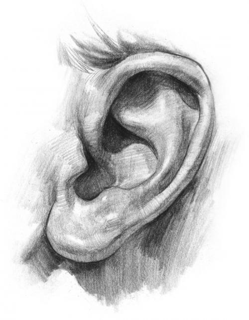  ucho 