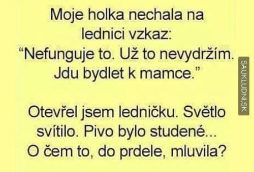 Nechápu ji