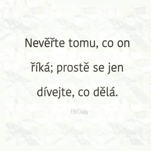  Důvěra 