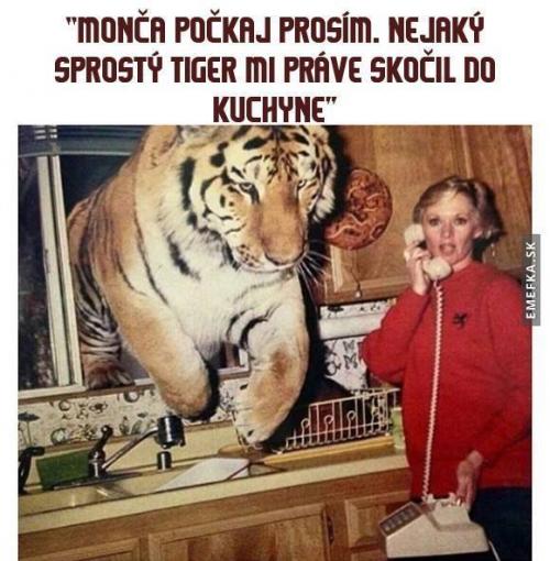  Tygr v kuchyni 