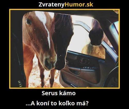  Kámoš 