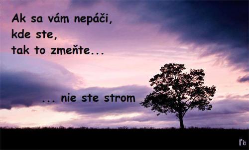  Strom 