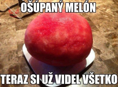  Meloun  