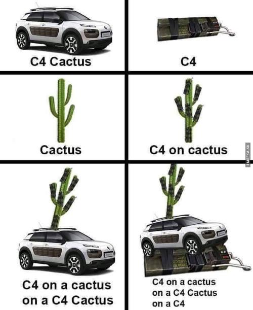  C4 Cactus 
