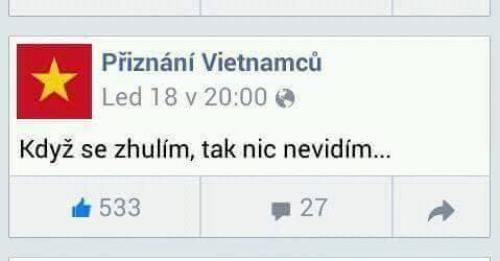 Přiznání vietnamců