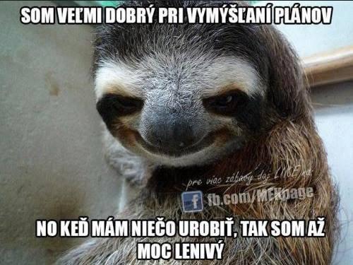 Plány