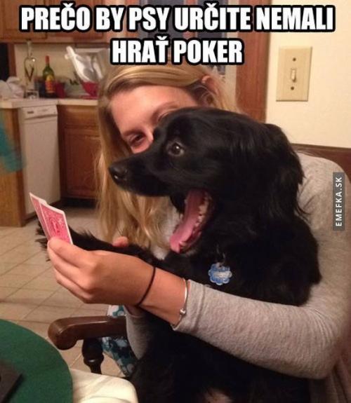  Poker 