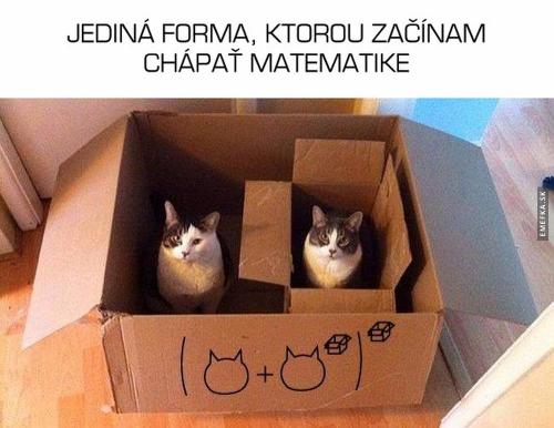 Jak pochopit matiku
