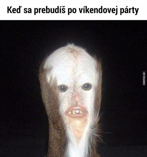  Víkendová párty 