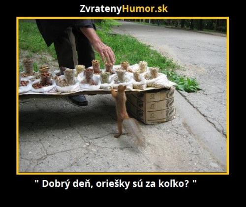  Dobrý den! 