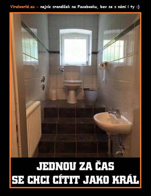  Jako král 