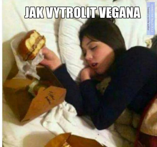 Jak na vegany