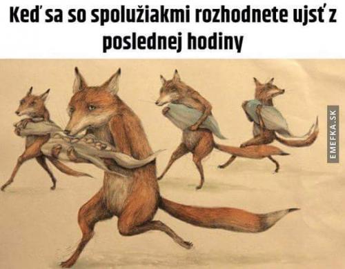  Poslední hodina 