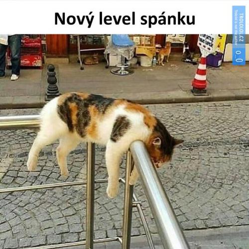 Spánek