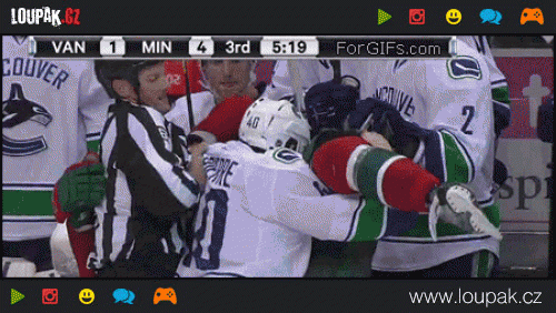  
Hockey-referee-punched
 