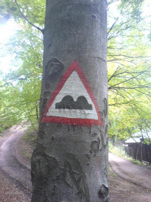 znacka na strome