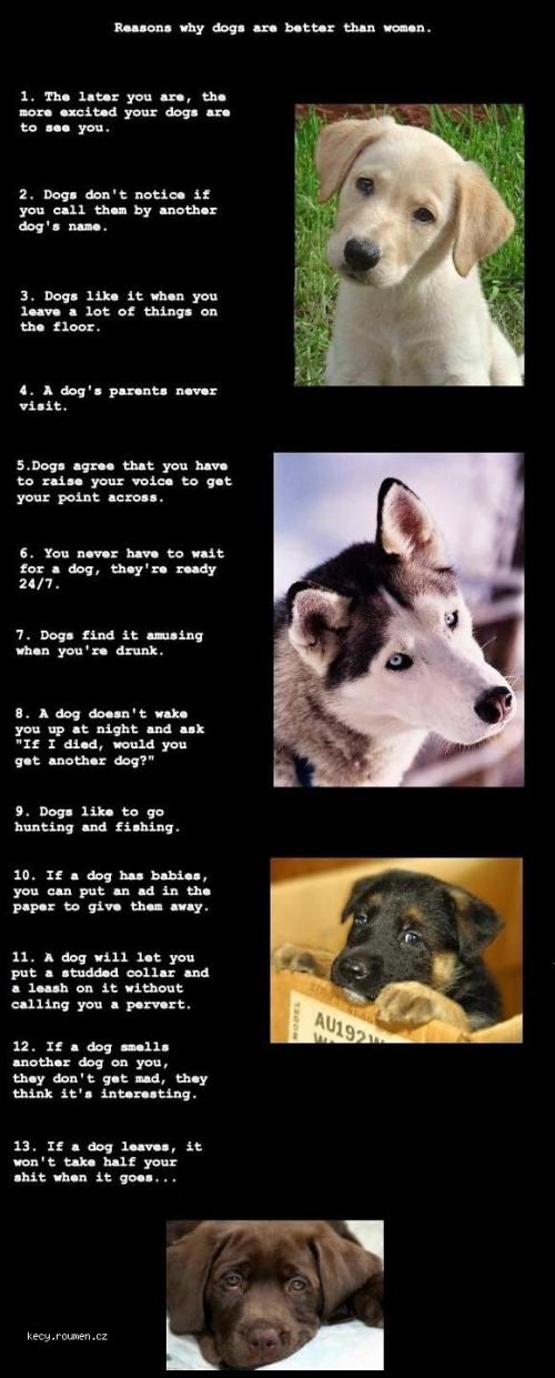 X Why Dogs are Better Then Women
