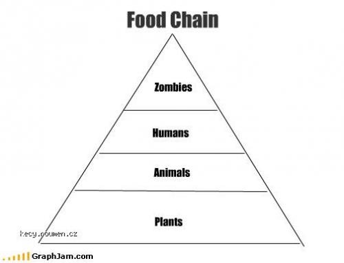  chart memes food chain 