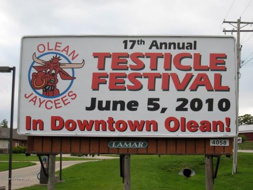 testicle festival