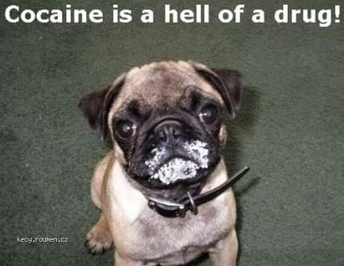  cocaine is a hell 