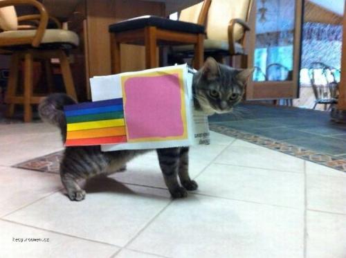 X Nyan Cat Costume 