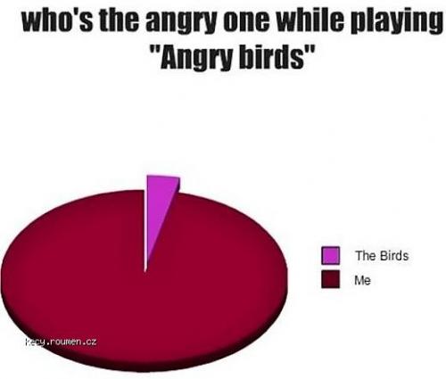  Angry Birds 290511 