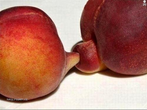  fruit anal 