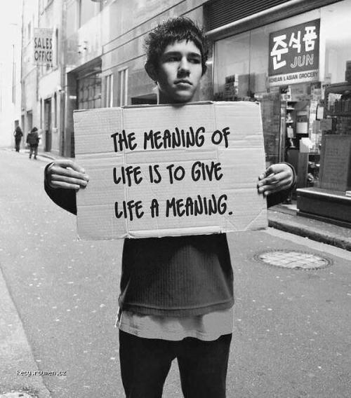  X The meaning of life is to give life a meaning 