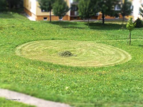  novy fenomen  kruh v trave 