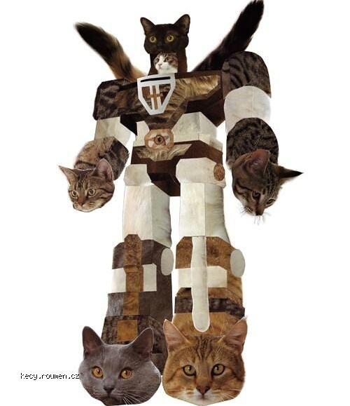 catformer