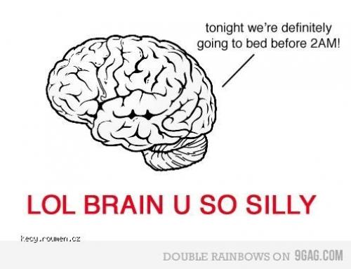  silly brain 