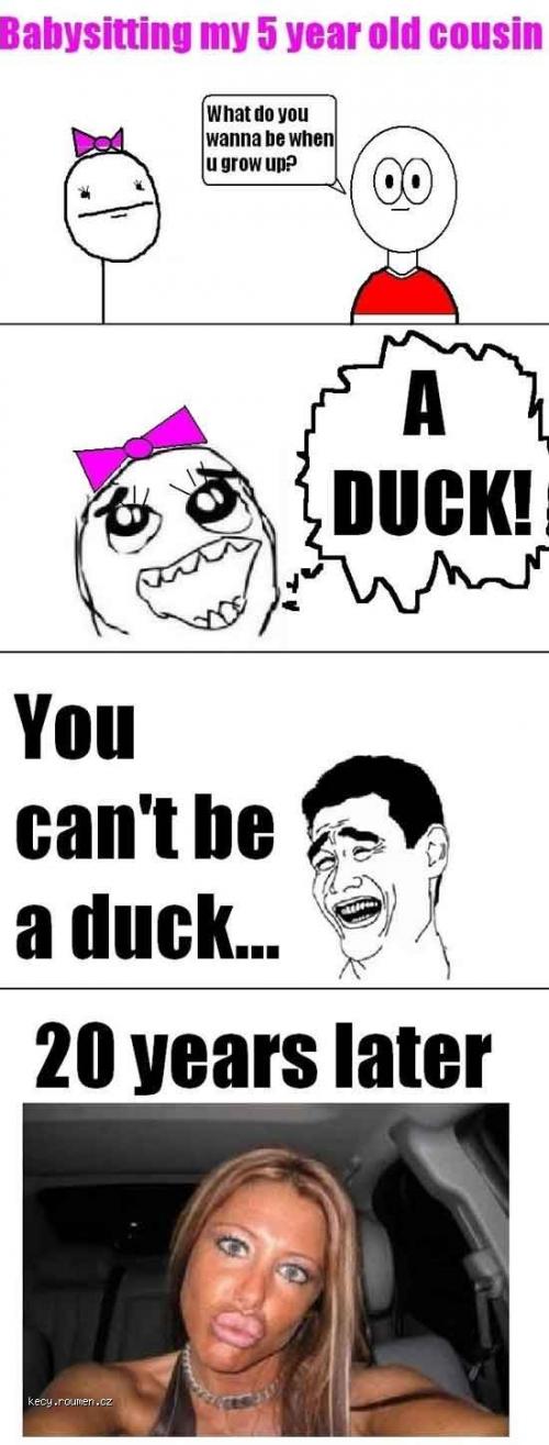  M  duck 
