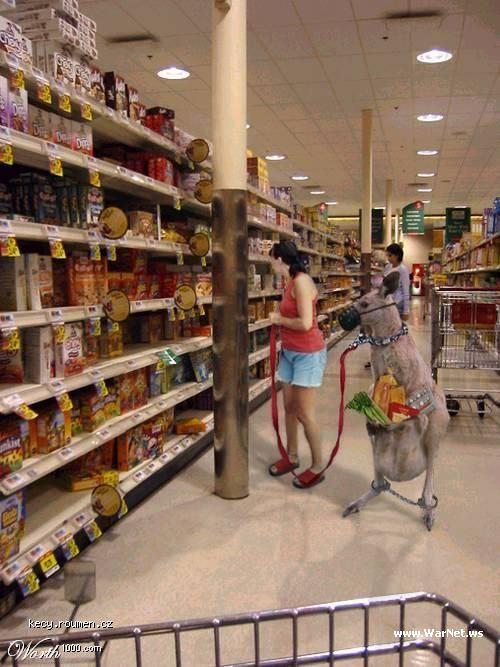 v supermarketu