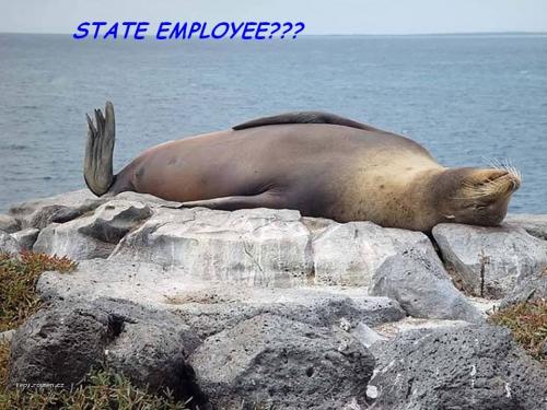  State employee 